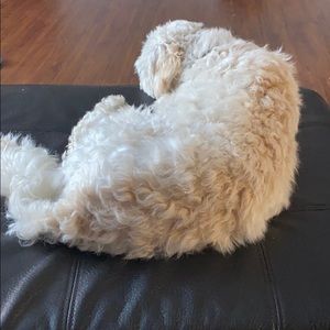 Meet your Posher, Annette